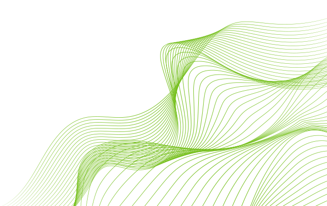 Contact Solutus Consulting